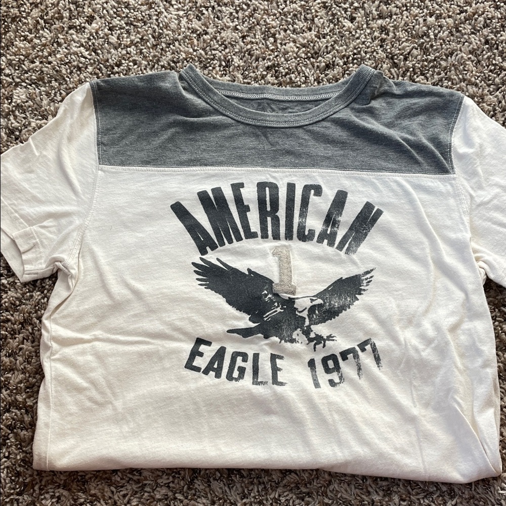 American Eagle Outfitters White Tee with Gray Yoke and Eagle Graphic